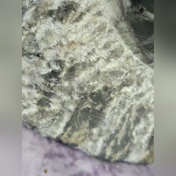 Ammonite & Goniatte Fossil Free Standing - Picture 6 of 9